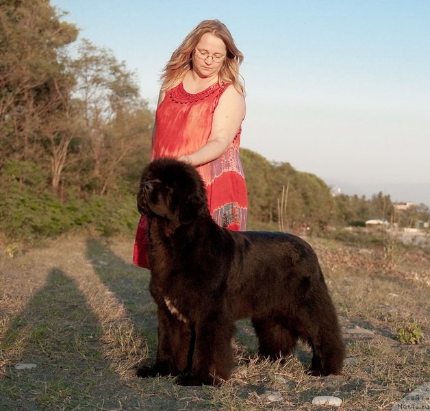 Фотография № 79186