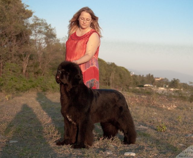 Фотография № 79188