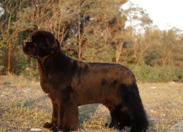 Фотография № 79189