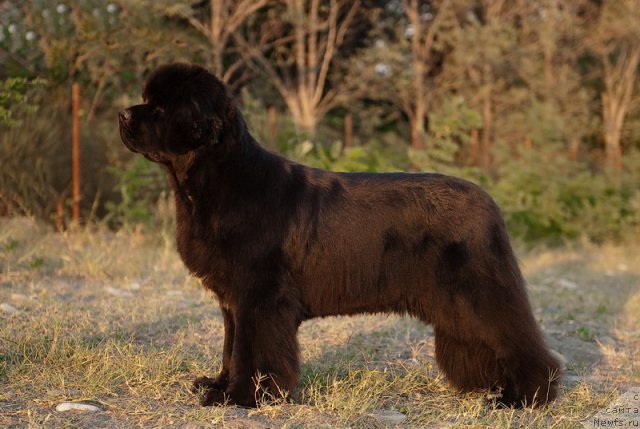 Фотография № 79192