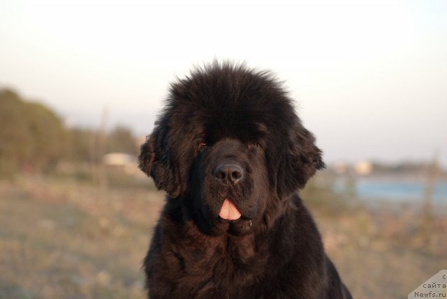 Фотография № 79206