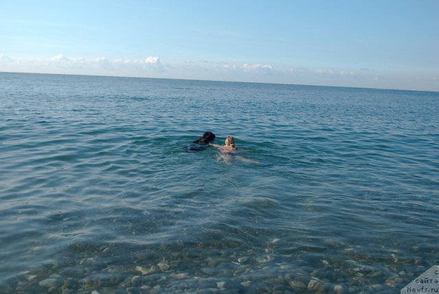 Фотография № 79208