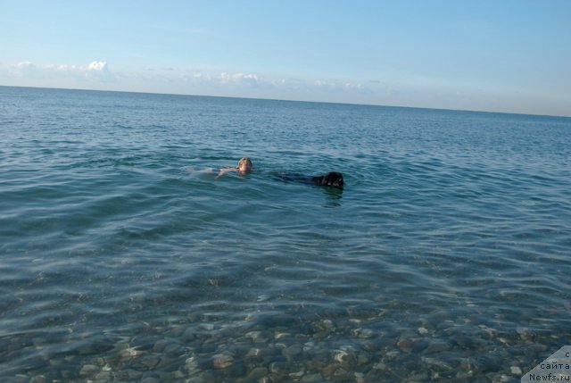 Фотография № 79209