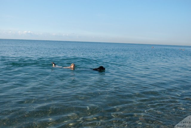 Фотография № 79211