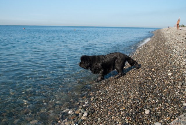 Фотография № 79212