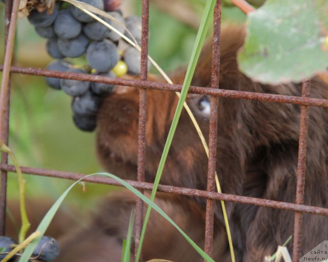 Фотография № 79237