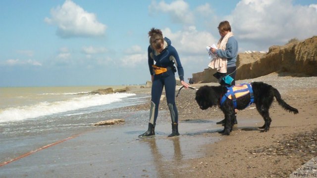 Фотография № 79271