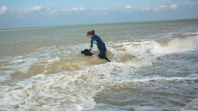 Фотография № 79272