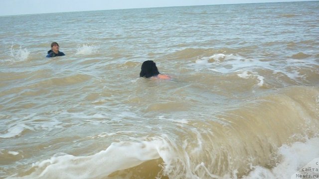 Фотография № 79273