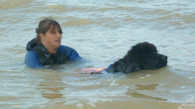 Фотография № 79274