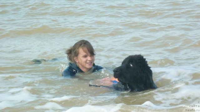 Фотография № 79276