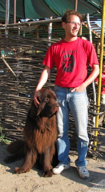 Фото: ньюфаундленд Ispolin iz Carstva Medvedey (Исполин из Царства Медведей)