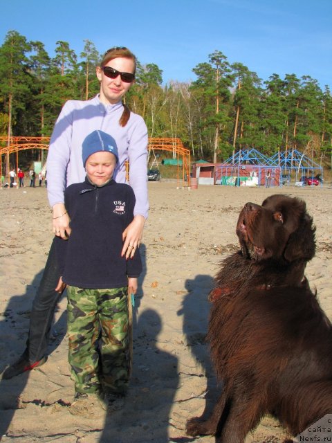 Фото: ньюфаундленд Ispolin iz Carstva Medvedey (Исполин из Царства Медведей)