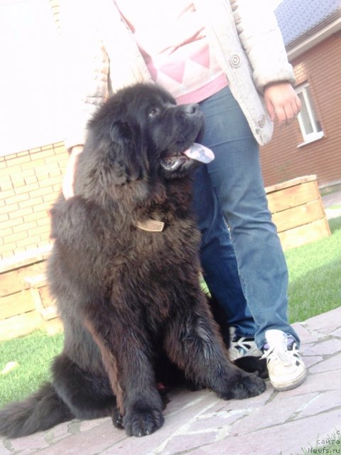 Фотография № 79300