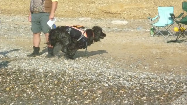 Фотография № 79304