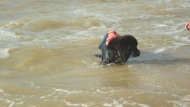 Фотография № 79305