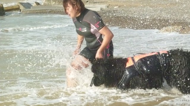 Фотография № 79308