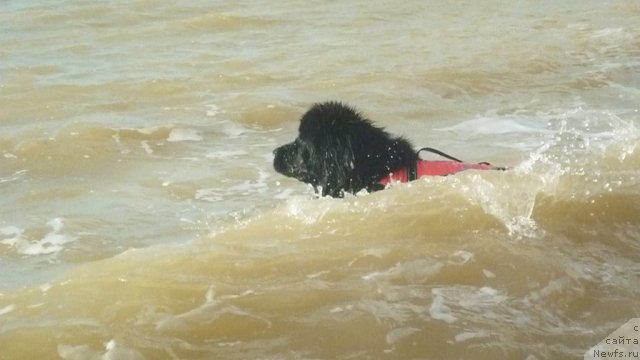 Фотография № 79309