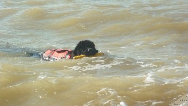 Фотография № 79311