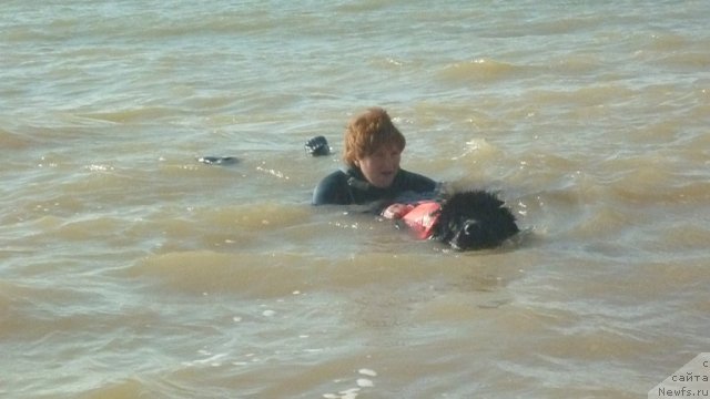 Фотография № 79312