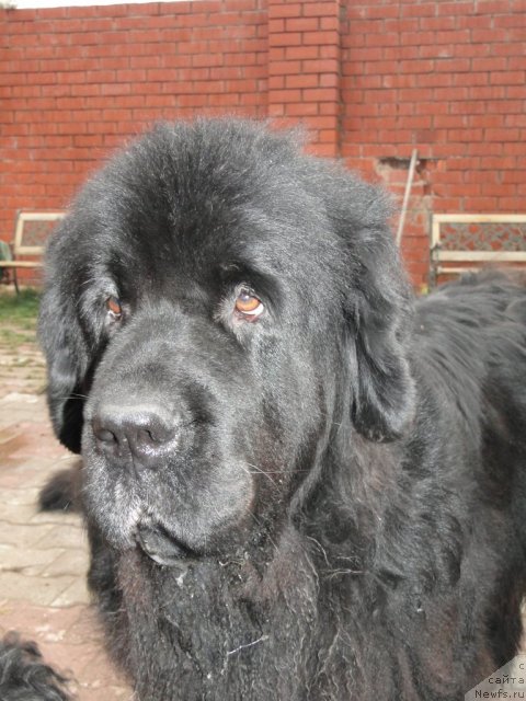 Фотография № 79327