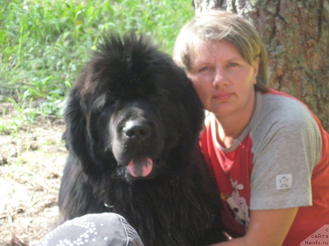 Фотография № 79331