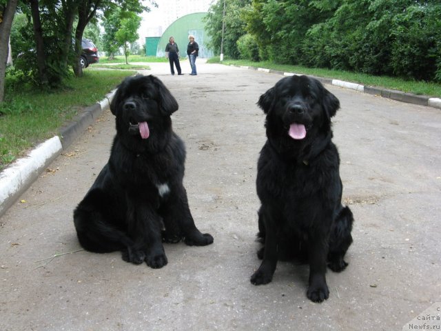 Фотография № 79353