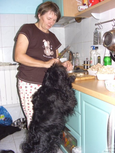 Фото: Svetlana Permyakova (Светлана Пермякова), Фрося