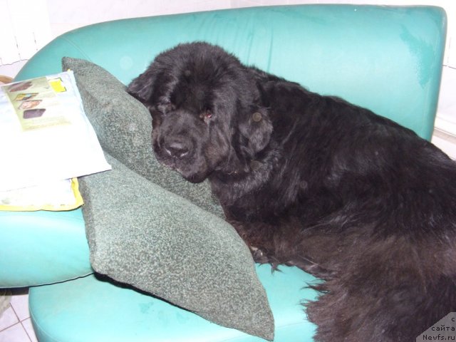 Фотография № 79358