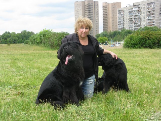 Фото: Elena SHigal' (Елена Шигаль), ньюфаундленд Bonni Flayt (Бонни Флайт), ньюфаундленд Restayling From SHipmyen (Рестайлинг Фром Шипмэн)