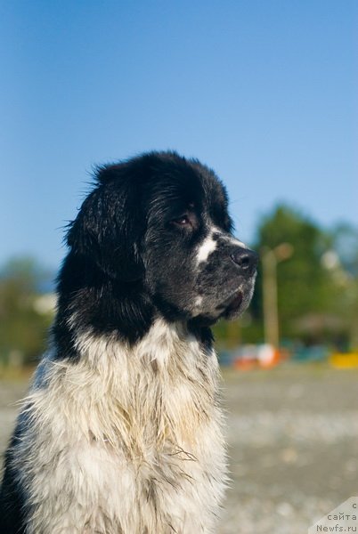 Фотография № 79373