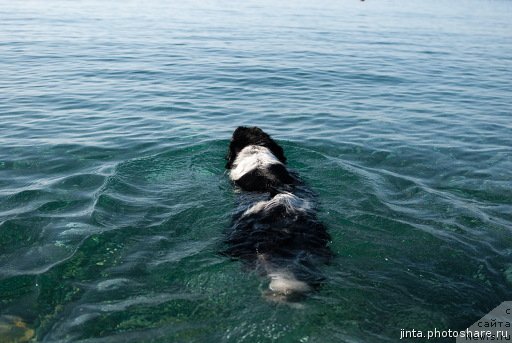 Фотография № 79375