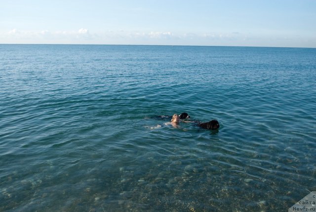 Фотография № 79376