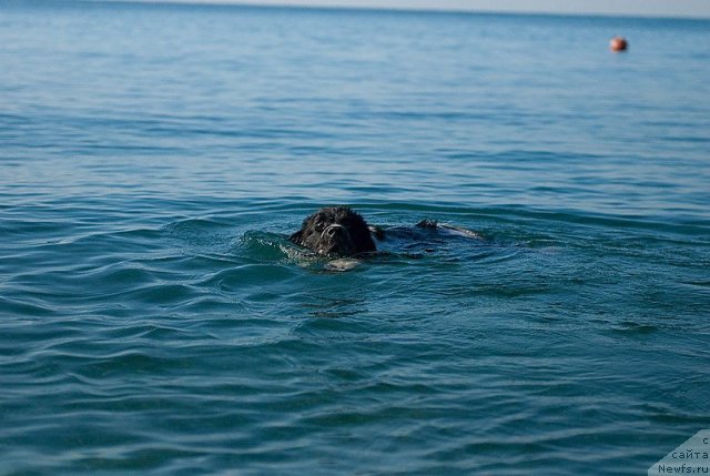 Фотография № 79377