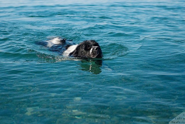 Фотография № 79378