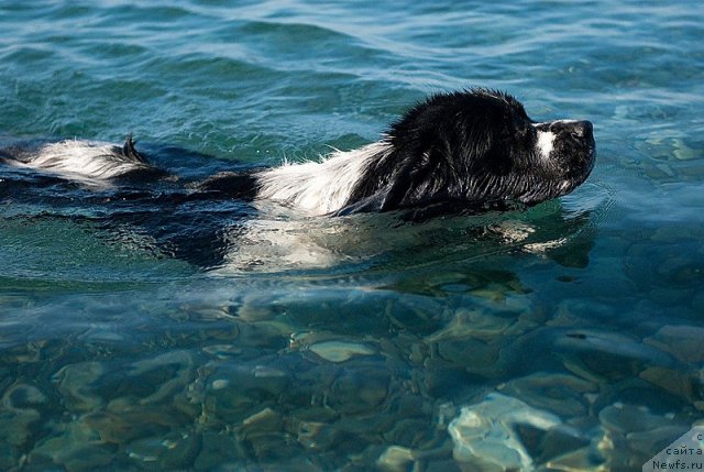 Фотография № 79379