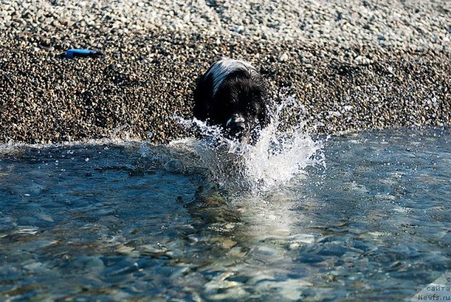 Фотография № 79380