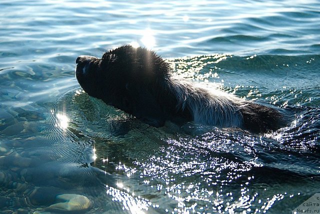 Фотография № 79382