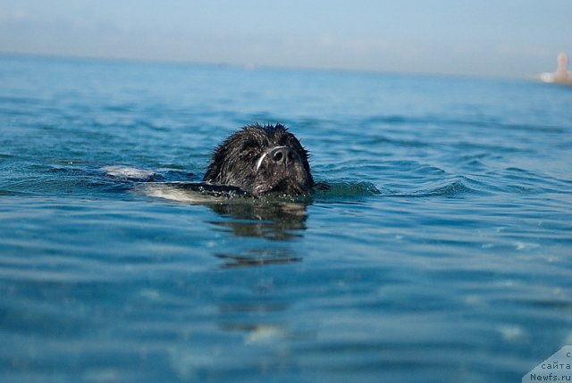 Фотография № 79384