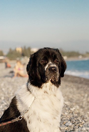 Фотография № 79389