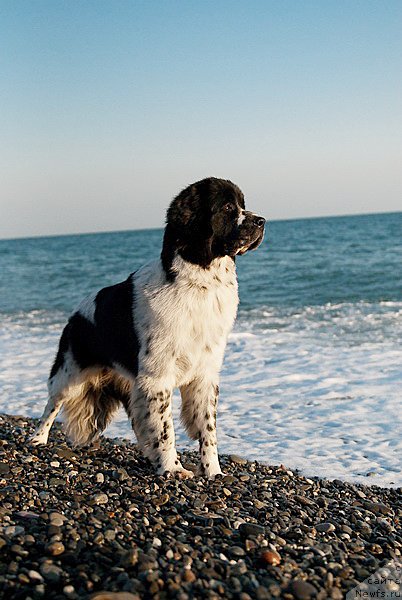 Фотография № 79390