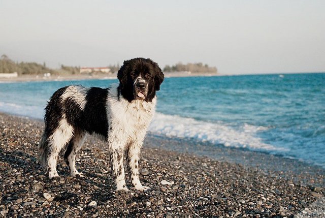 Фотография № 79393