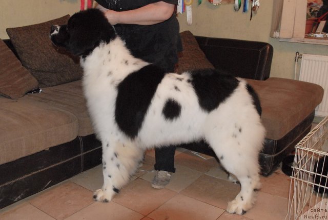 Фотография № 79399