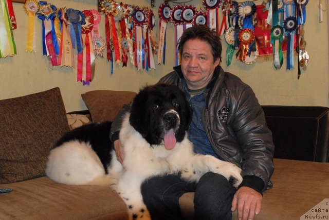 Фотография № 79406