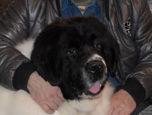 Фотография № 79409