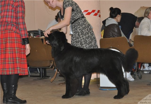 Фотография № 79424