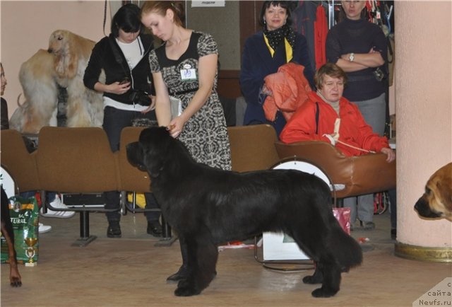 Фотография № 79425