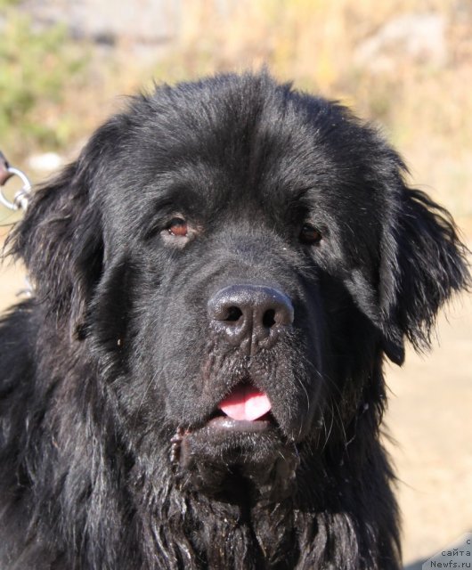 Фотография № 79430