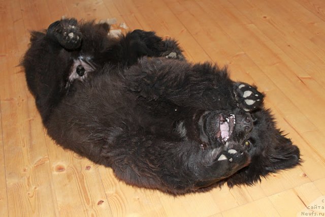 Фотография № 79441