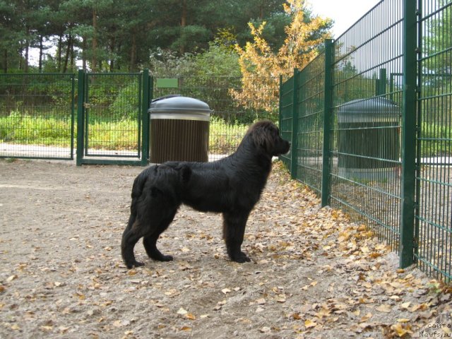 Фотография № 79446